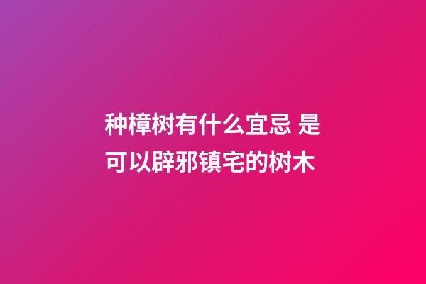 种樟树有什么宜忌 是可以辟邪镇宅的树木